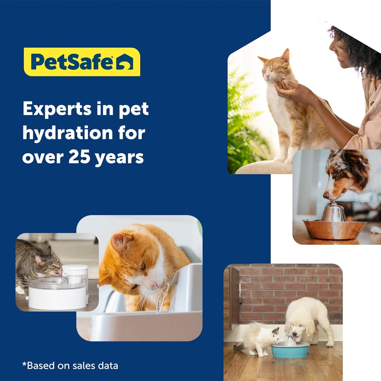 PetSafe ScoopFree Disposable Crystal Cat Litter Tray - Easy Cleaning Box - Refill Tray for Electric Litter Box - Lavender Scent - 4.3 lb Bags - 6 Pack