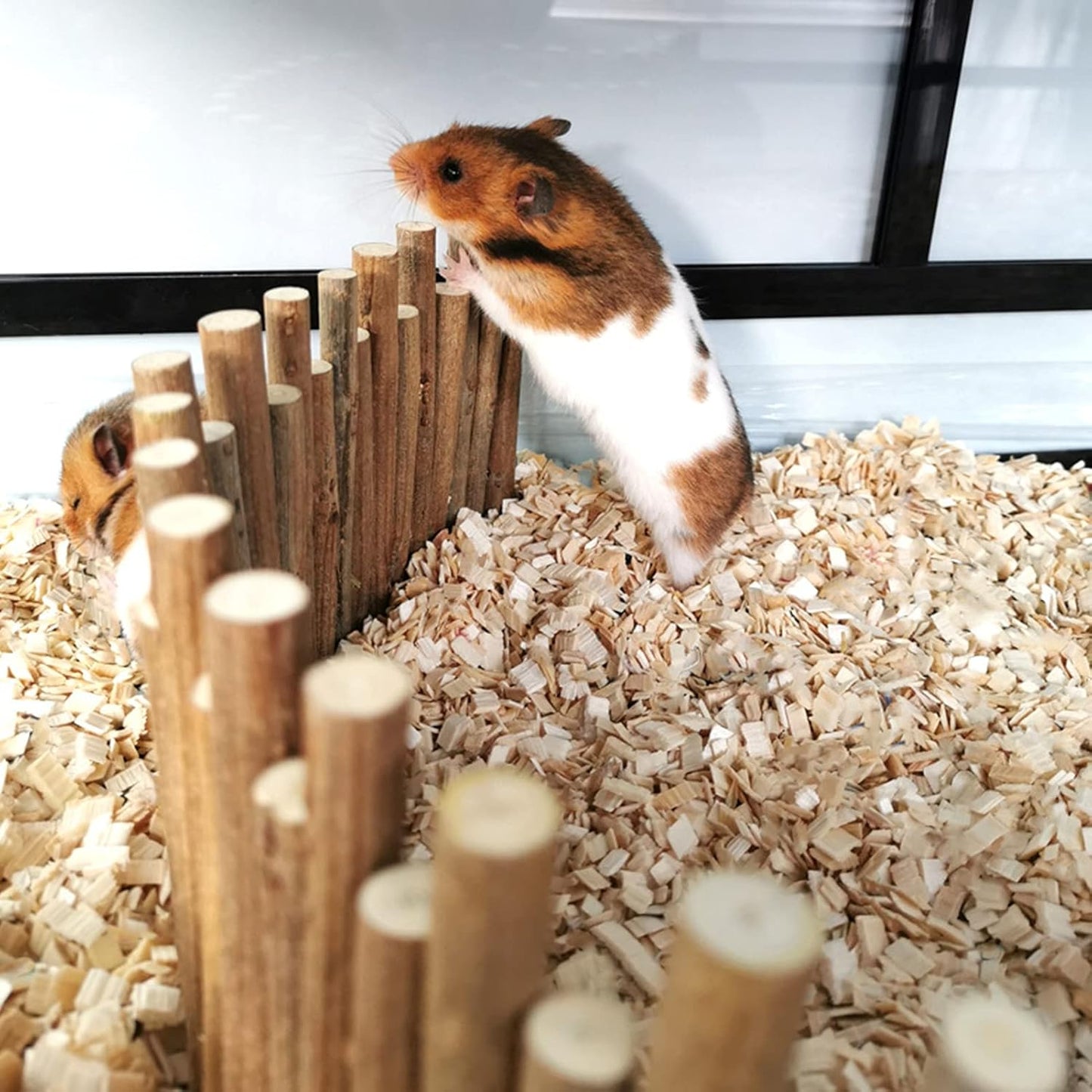Ejoyous Hamster Wooden Bridge, Wood Ladder Hamster Fence Hideout Cage Bedding Climbing Toys for Syrian Hamsters Gerbil Small Animals (60CM Fence)