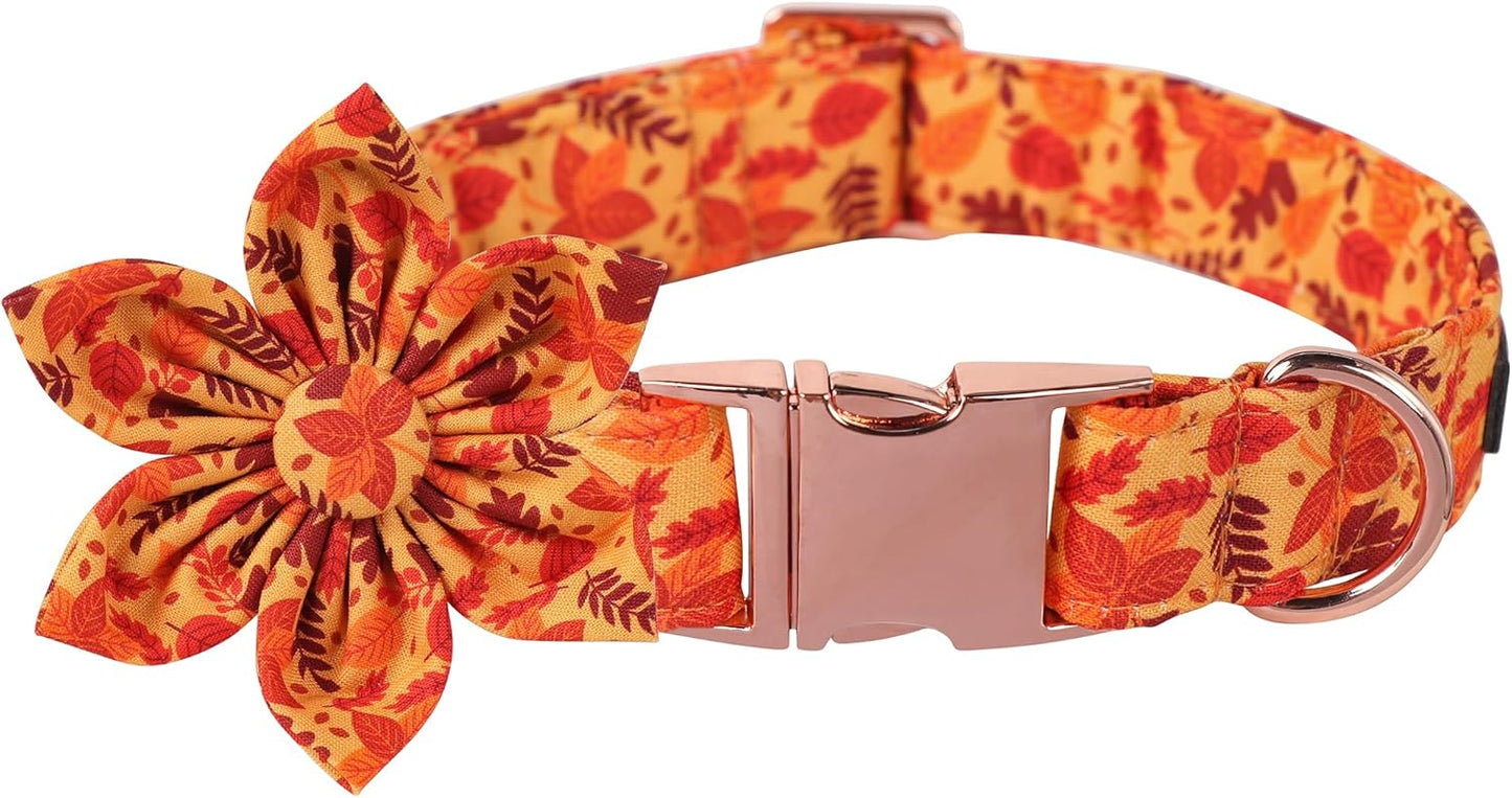 Lionet Paws Dog Collar with Flower - Cute Cotton Adjustable Flower Dog Collar with Metal Buckle for Large Dog Girl Gift, L, Neck 16-24in