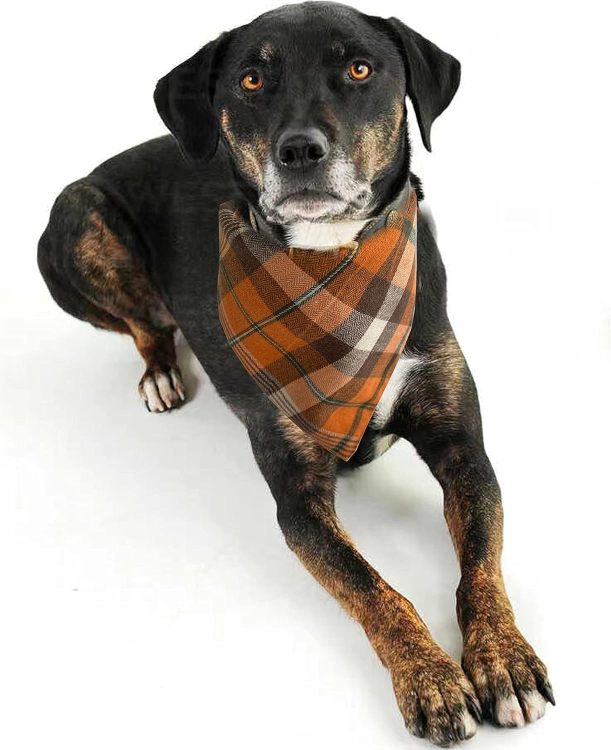Realeaf Fall Halloween Dog Bandanas 2 Pack, Orange Plaid Pet Scarf for Boy and Girl, Premium Durable Fabric, Holiday Thanksgiving Bandana for Small and Medium Dogs (Small)