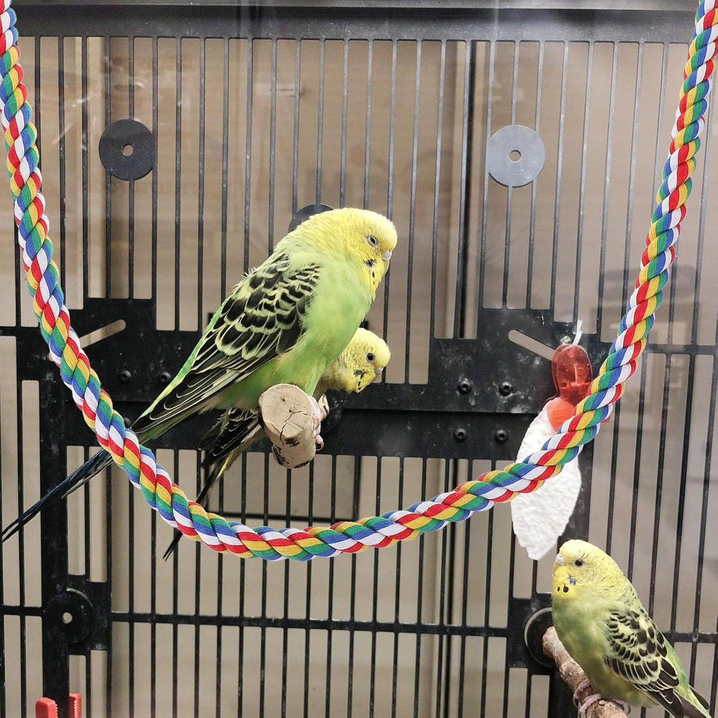 iplusmile Bird Rope Perches, Cages Birds Rope Cage Accessories for Parrots, Cockatiels, Parakeets, Budgie, 41.3inch