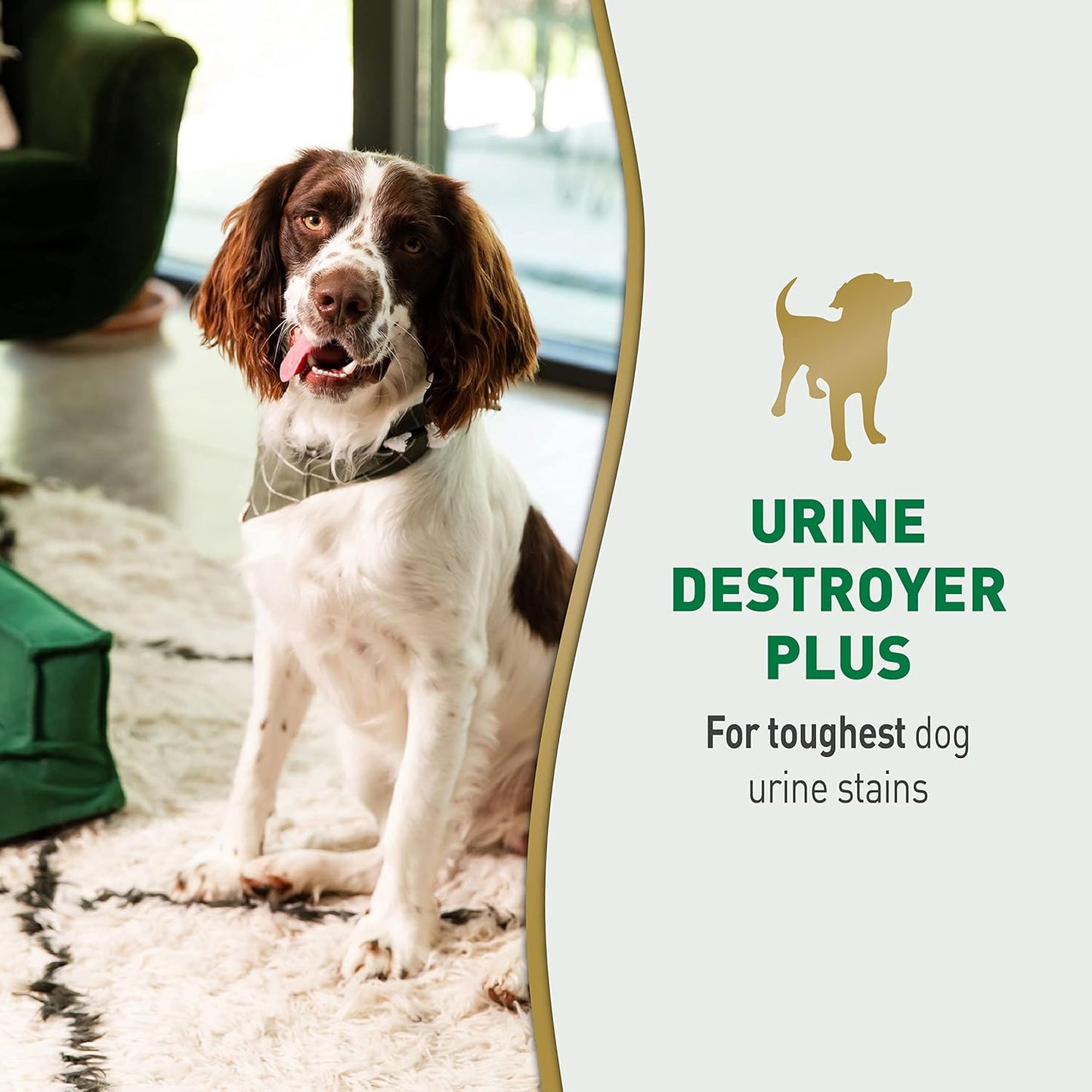 Nature's Miracle Urine Destroyer Plus for Dogs, Enzymatic Formula for Severe Dog Urine Stains, 32 fl oz