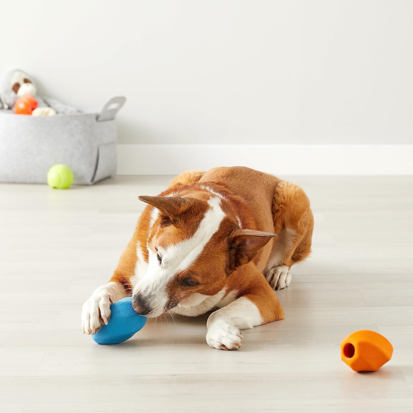 Amazon Basics Interactive Dog Treat Dispensing Enrichment Chew Toy, Medium, Multi Color, 2-Pack