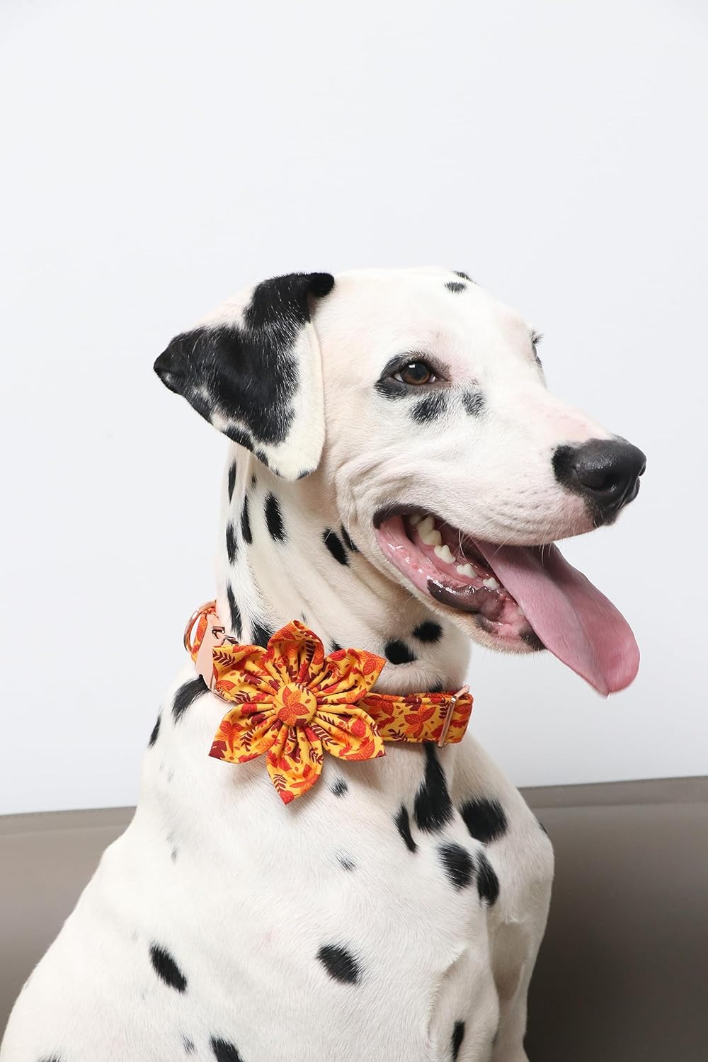 Lionet Paws Dog Collar with Flower - Cute Cotton Adjustable Flower Dog Collar with Metal Buckle for Large Dog Girl Gift, L, Neck 16-24in