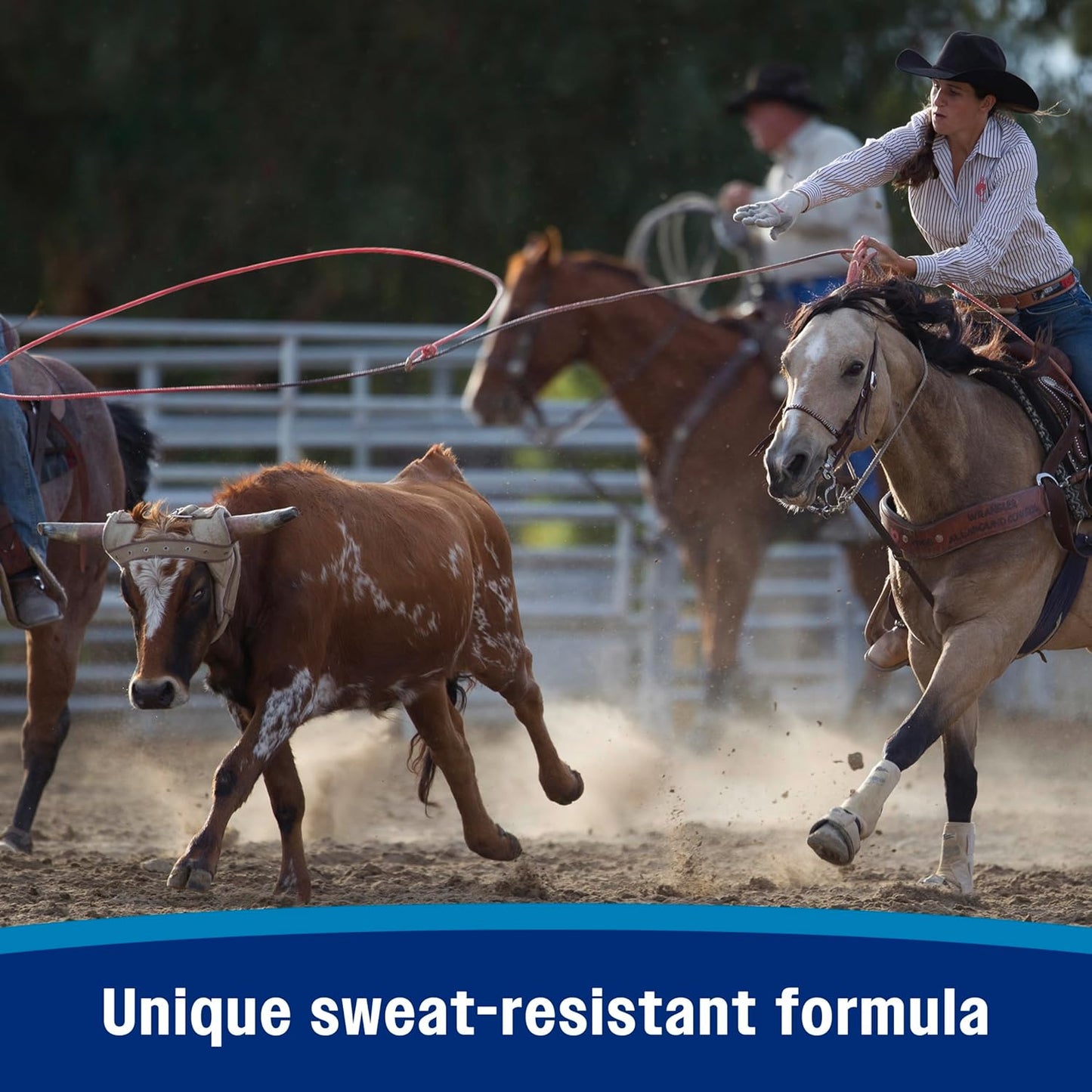 Farnam Endure Sweat-Resistant Fly Spray for Horses, Lasts Up to 14 Days, Protects Against Flies, Gnats, Mosquitoes, Ticks & Lice, 128 oz.