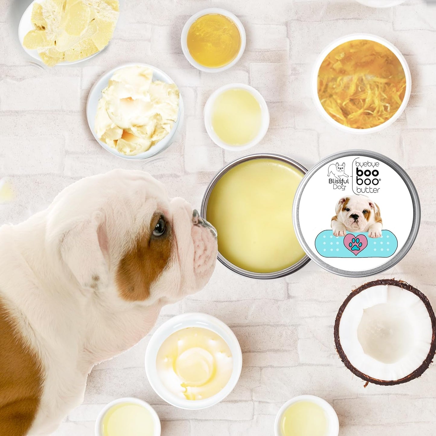 The Blissful Dog Bulldog Boo Boo Butter, 16 oz.