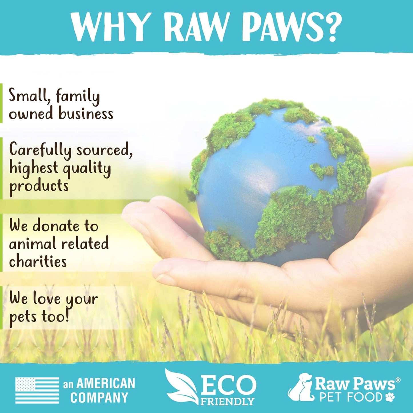 Raw Paws Catnip Balls for Cats, (6-Count) - Interactive Cat Toy for Indoor Cats - Cat Nip Licking Balls