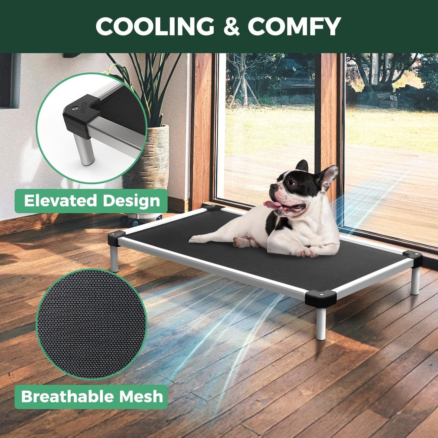 FXW TitanNest Chew-Proof Elevated Dog Bed, Raised Cot for Indoor/Outdoor/Camping Use, Durable & Waterproof Cooling Pet Bed for Small Dogs, 35.0" L x 22.0" W x 4.5" H, Black