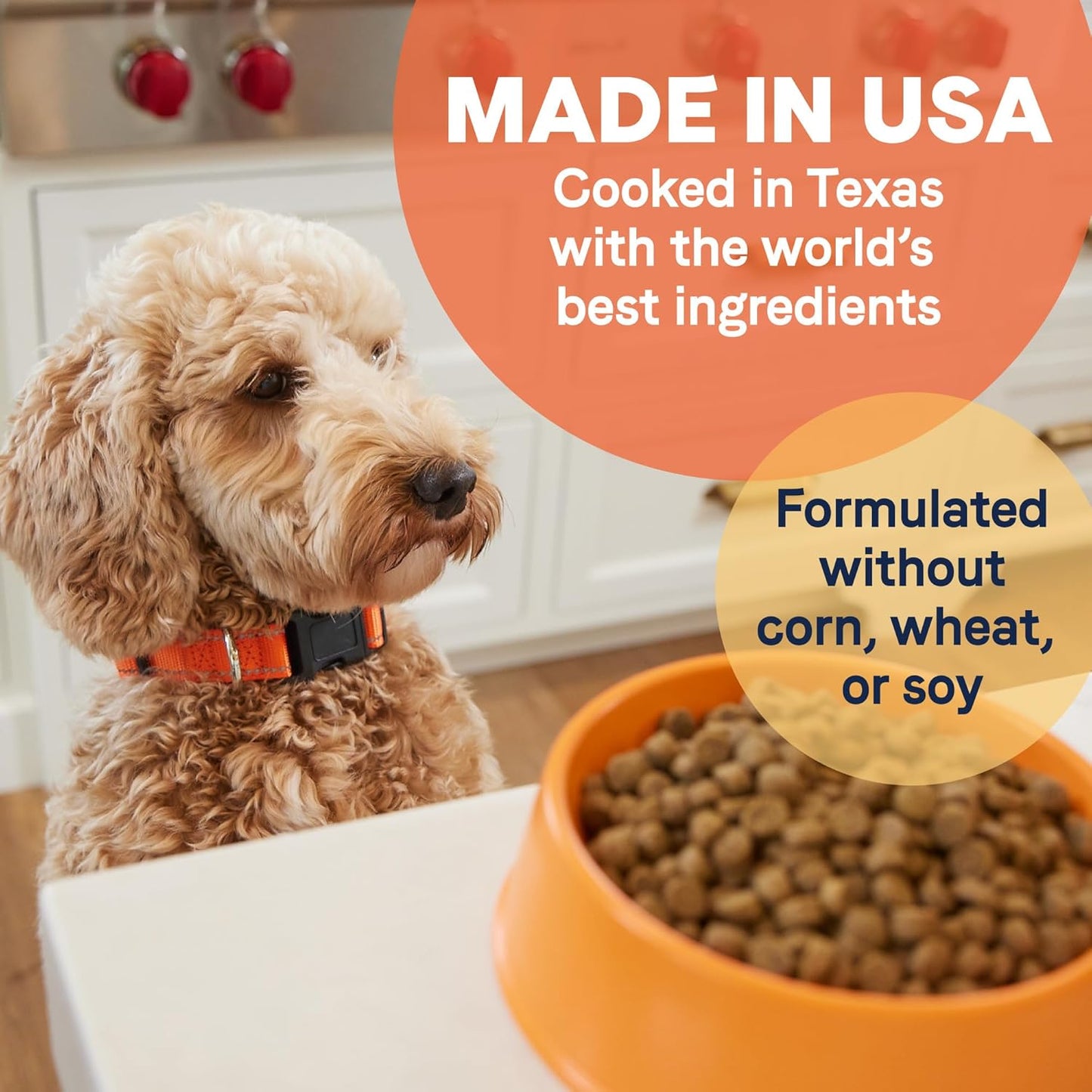 CANIDAE All Life Stages Lamb Meal & Rice Formula Dog Dry 27 Pound (Pack of 1)