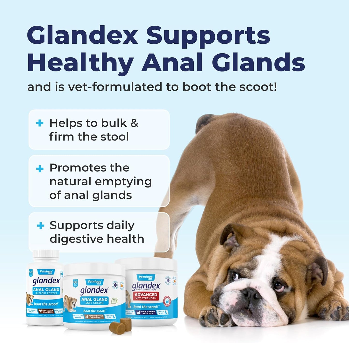 Vetnique Labs Glandex Dog Fiber Supplement Powder for Anal Glands with Pumpkin, Digestive Enzymes & Dog Probiotics for Digestive Health - Vet Recommended - Boot The Scoot (Beef Liver, 2.5oz Powder)