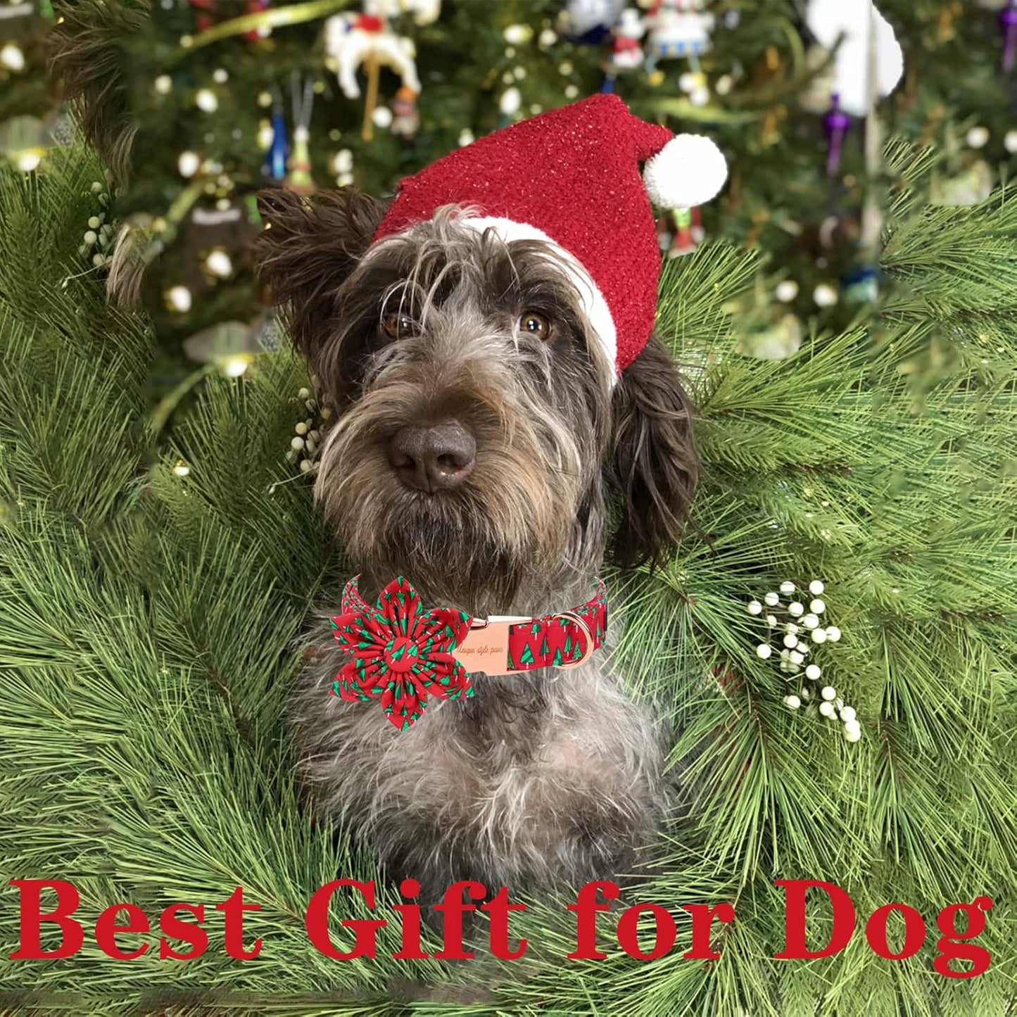 Unique style paws Christmas Dog Collar with Flower Best Winter for Small Medium Large Dogs -Christmas Tree-XL