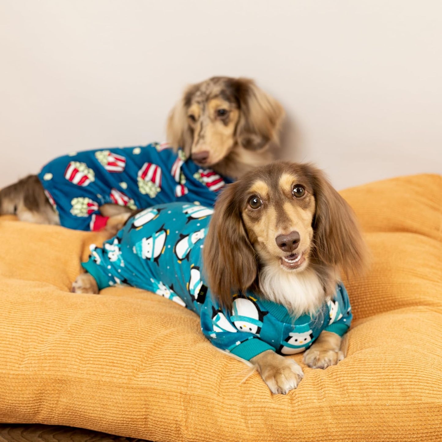 Fitwarm Cute Penguin Dog Pajamas, Dog Winter Clothes for Small Dogs Girl Boy, Cozy Dog Onesie, Soft Pet Jammies, Doggy Apparel, Teal Blue, Small