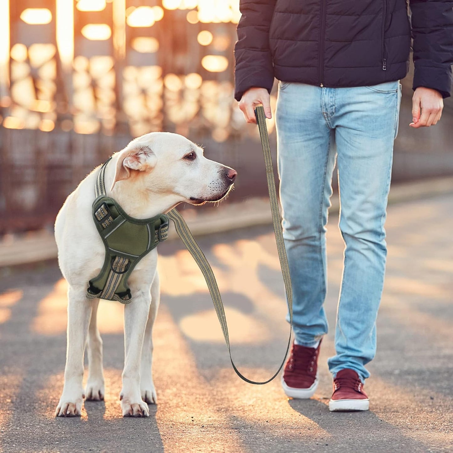 No Pull Dog Harness for Large Dogs, Adjustable No Choke Pet Vest with Dog Leash Fit Smart Reflective Pet Walking Harness for Training Easy Control Soft Handle Green XL