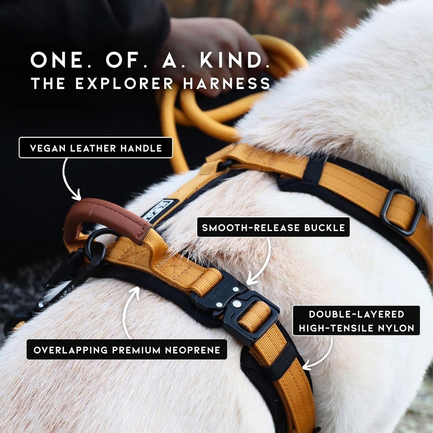 MADE TO ROAM Premium Explorer Harness - Y-Shaped Dog Harness with Adjustable Durable Nylon, Soft Padding, Metal Buckles and Leather Handle for Small, Medium, Large Dogs (Vermont Weekends, Size 1)