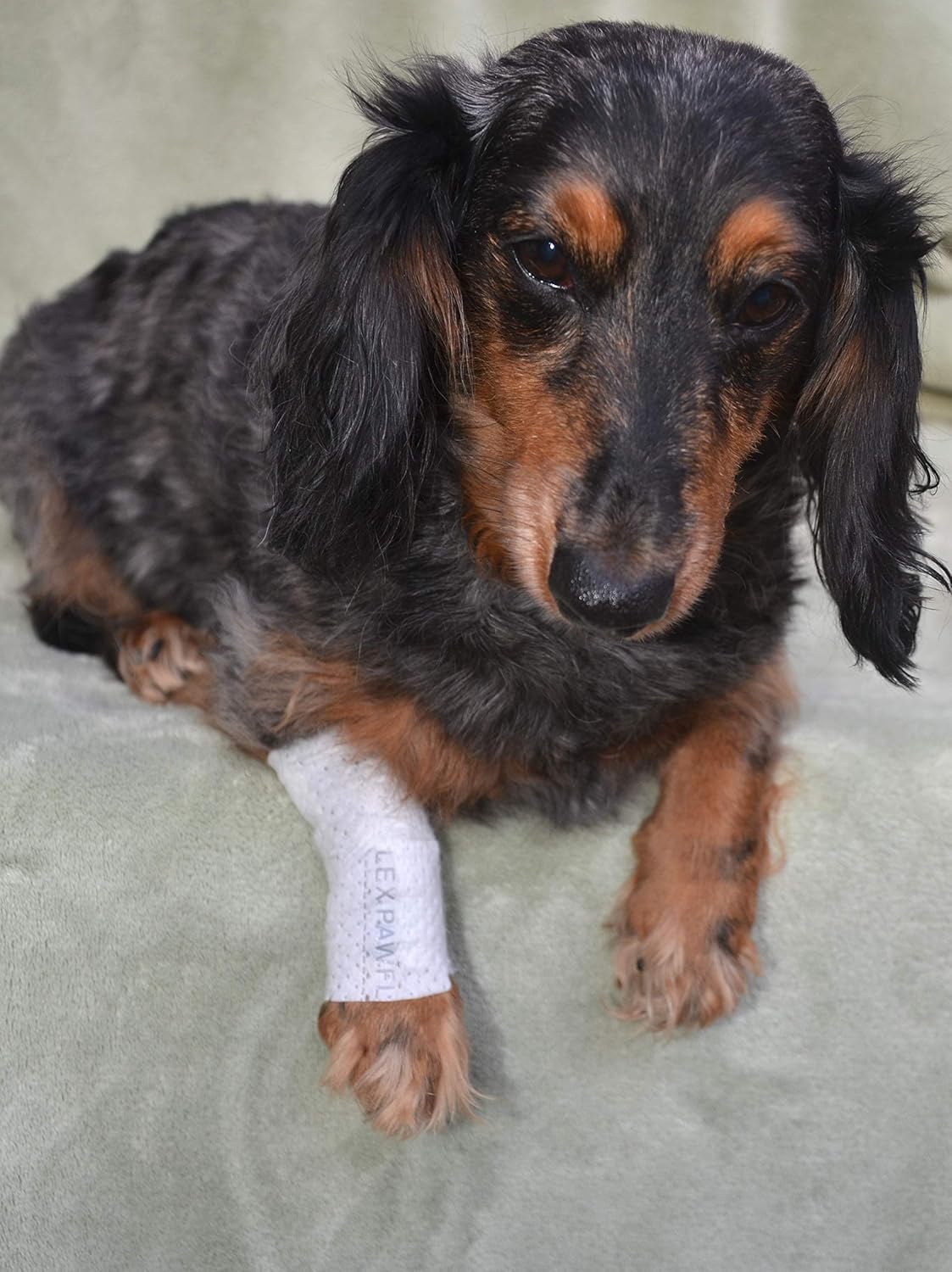 Protective Sleeve Tubular Cover - Bandages - for Dogs Cats and Other Pets First Aid Wound Care Comfortable Non-Adhesive Breathable & Water Resistant 18 Strips (yields 36-54 Covers)-(X-Large)