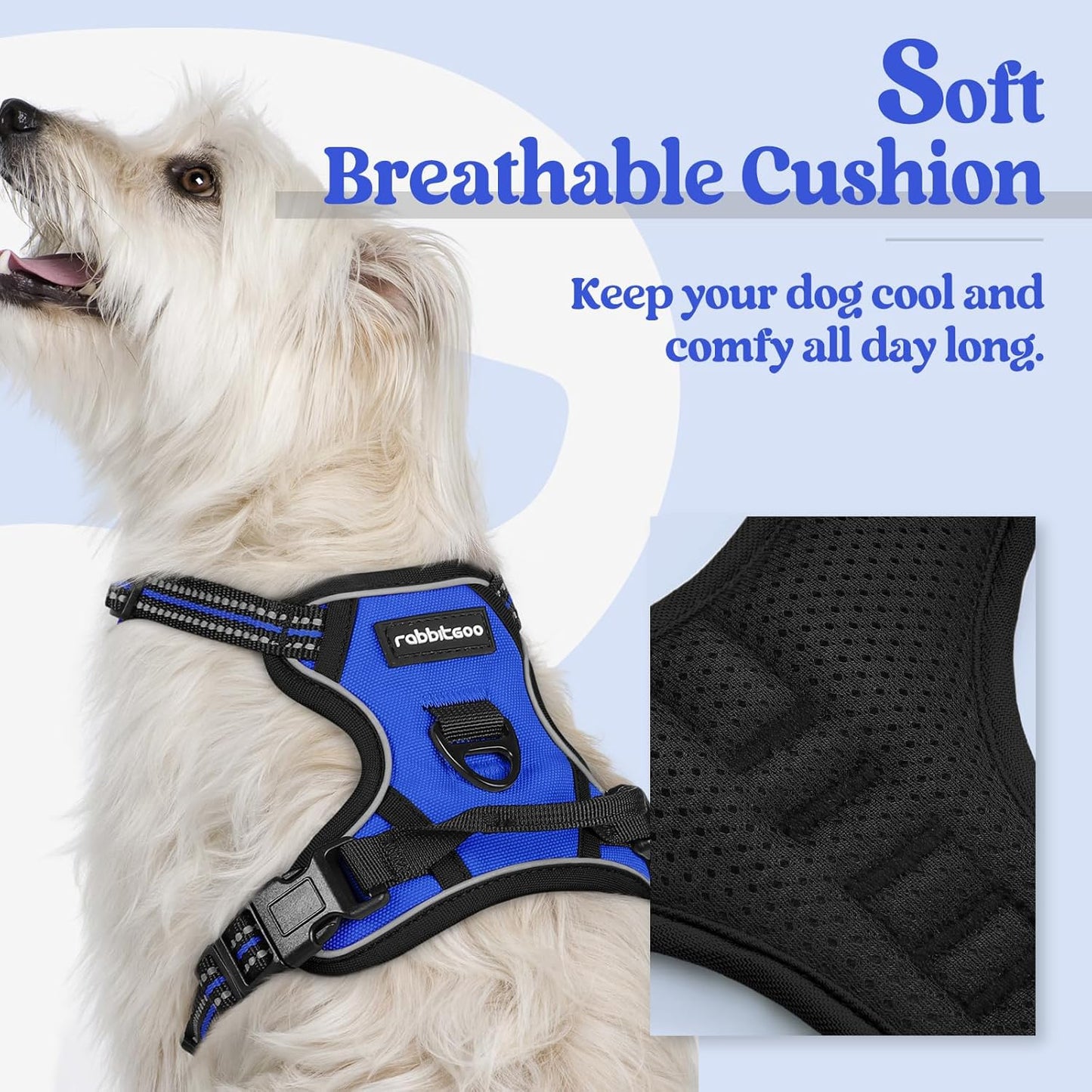 rabbitgoo Dog Harness No Pull with 2 Leash Clips, Adjustable Soft Padded, Reflective Oxford No Choke Pet Vest with Easy Control Handle for Puppy, Dazzling Blue,XS