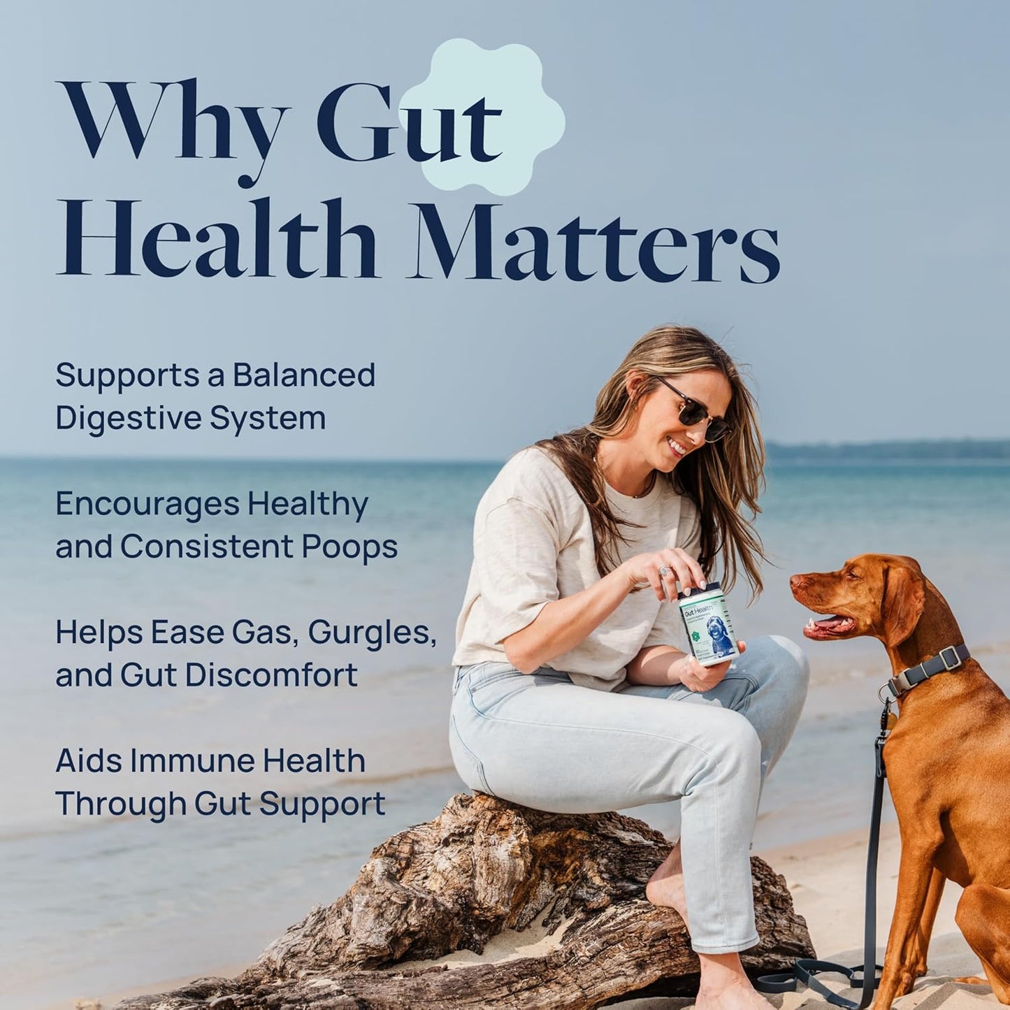 Veterinary Formula Gut Health Supplement for Dogs – Vet-Formulated Probiotic Chews with Digestive Enzymes & Fiber – Smart Vitality Supports Digestive Health, Gut Balance & Stool Quality, 60 Soft Chews
