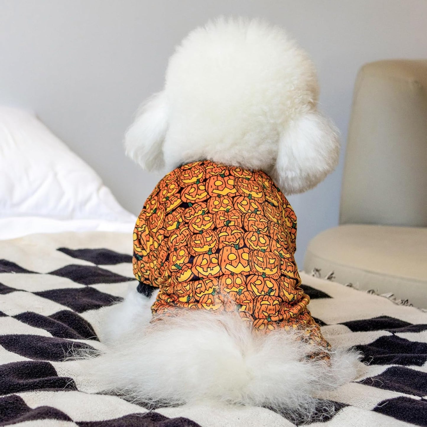 CuteBone Dog Halloween Pajamas Puppy Onesies Small Dogs Soft Pjs Coat Cat Apparel Comfy Pet Christmas Clothes Outfit Doggie Bodysuit P301L