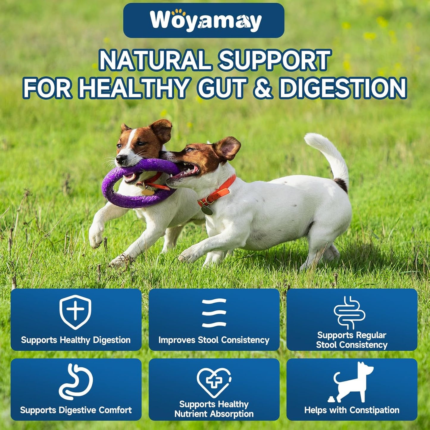 Dog Probiotic for Dogs, 200 Soft Treats Dog Probiotics for Digestive Health & Immune System, Probiotic Chews for Dogs, Support Gut Health|Itchy Skin|Diarrhea|Gas Relief Treatment