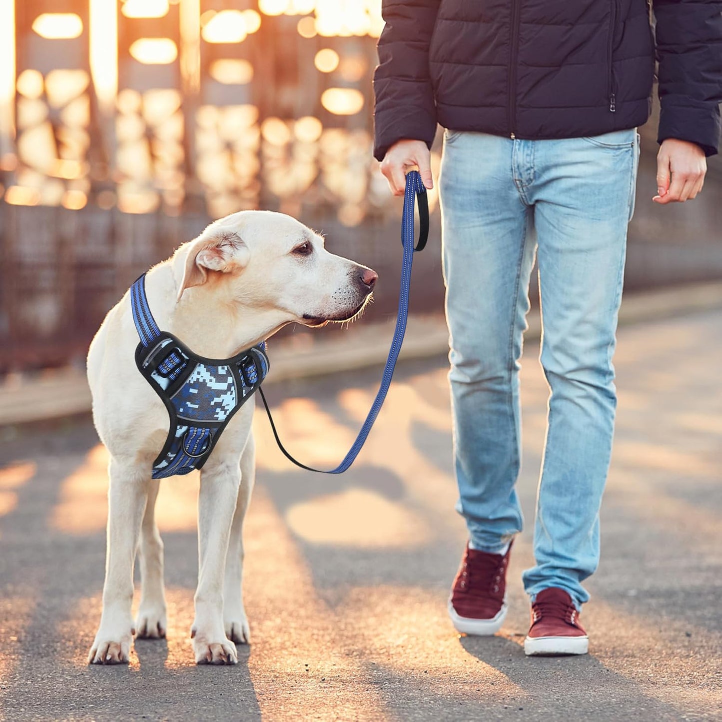 BUMBIN Dog Harness for Large Dogs, No Pull Adjustable No Choke Pet Vest with Dog Leash Fit Smart Reflective Pet Walking Harness for Training Easy Control Soft Handle Blue Camo L