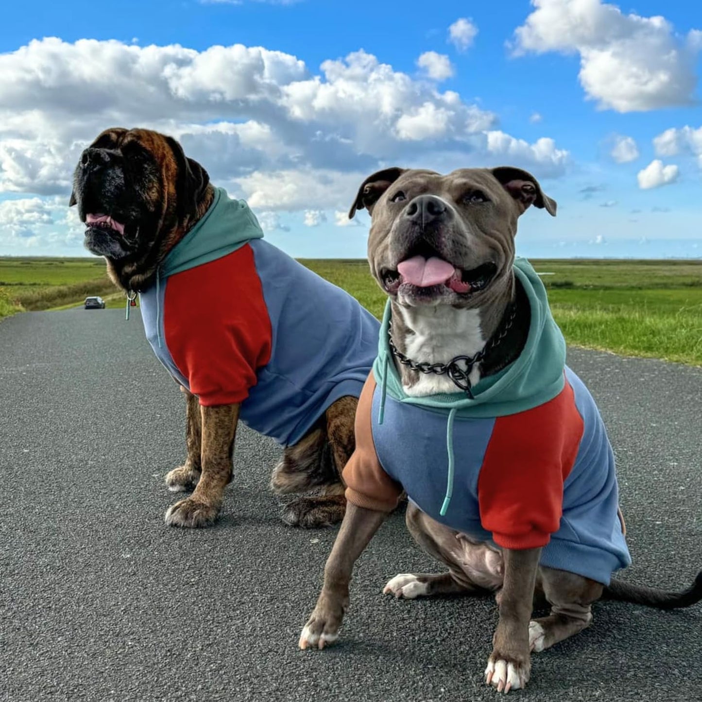 Spark Paws Dog Hoodie – Premium Dog Sweater for Small, Medium, and Large Dogs | Warm Outfits for French Bulldogs, Pitbull, Puppy, Winter Jacket Alternative - Alpine - 4XL