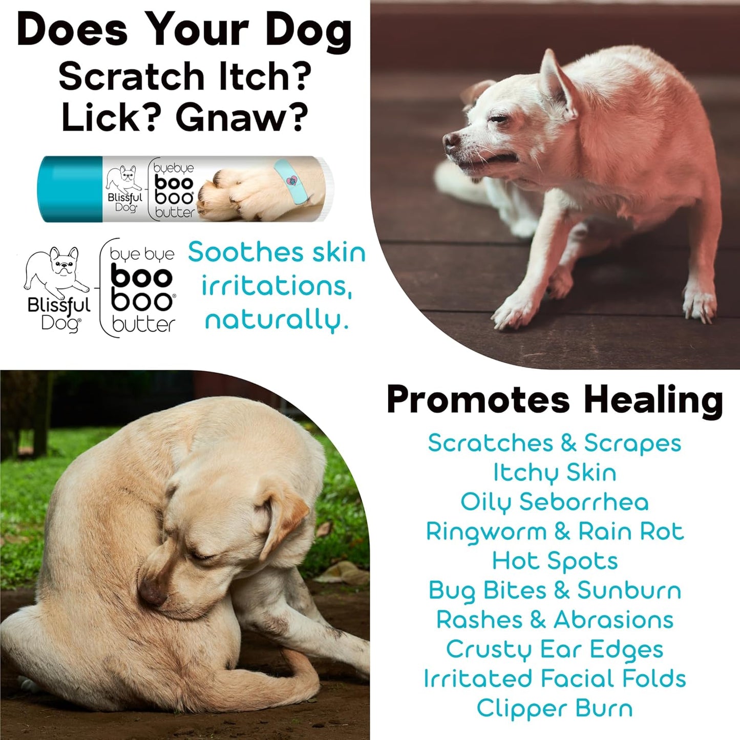 The Blissful Dog Basset Hound Boo Boo Butter, 16oz