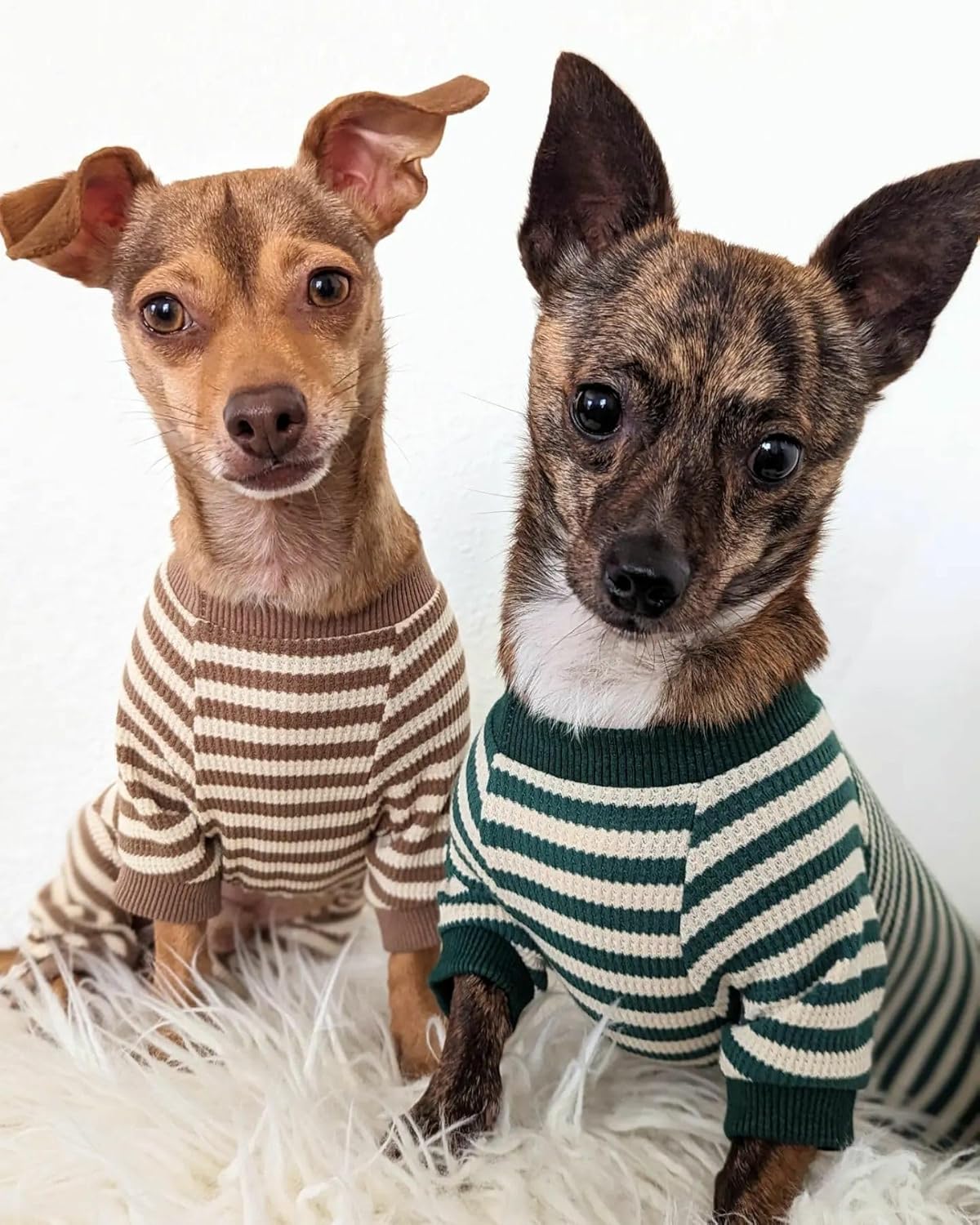 Fitwarm Green and White Striped Dog Pajamas, Waffle Dog Clothes for Small Dogs Girl Boy, Puppy Onesie with Feet, Pet Cat Outfit, Medium