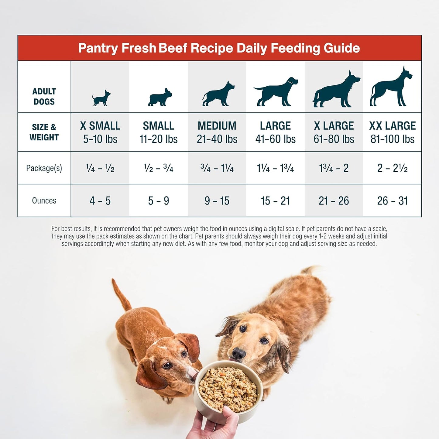 JustFoodForDogs Pantry Fresh Wet Dog Food, Complete Meal or Dog Food Topper, Beef & Potato Human Grade Dog Food Recipe - 12.5 oz (Pack of 12)
