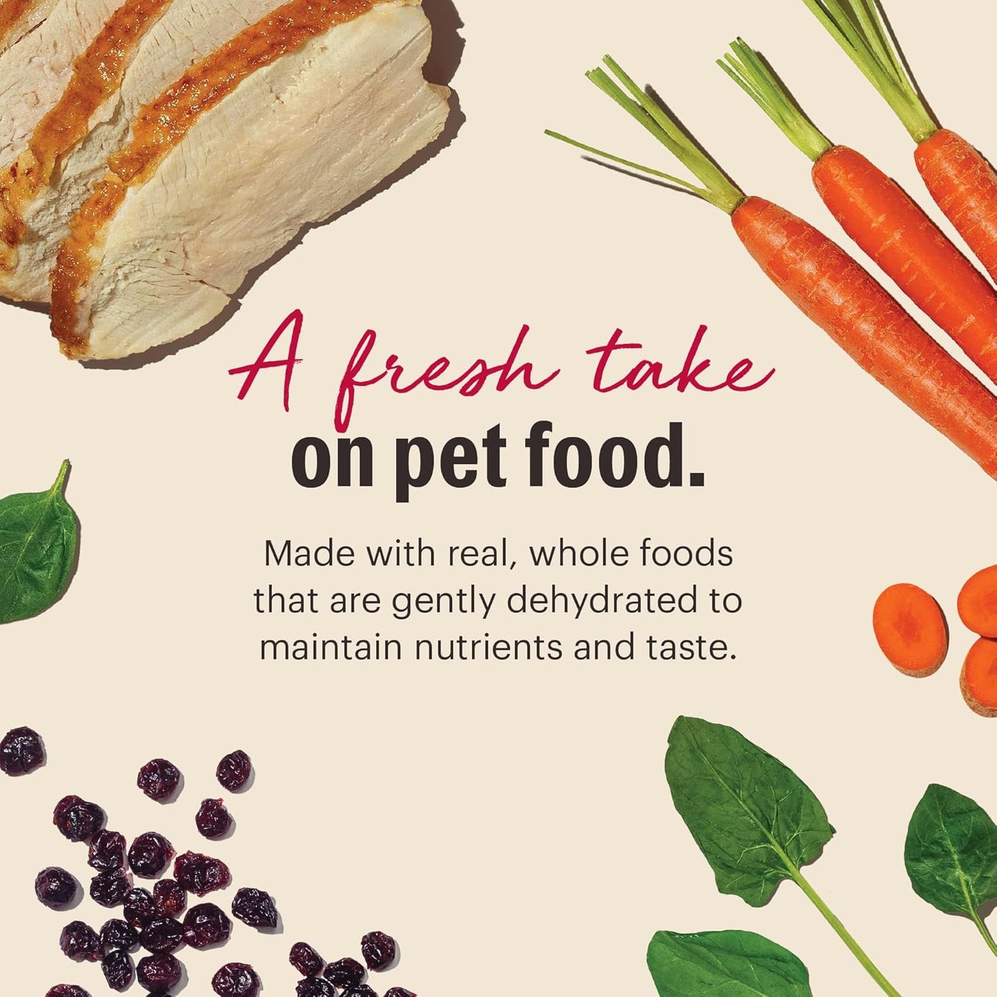 The Honest Kitchen Wholemade™ Grain Free Turkey Dog Food, 4 lb Box