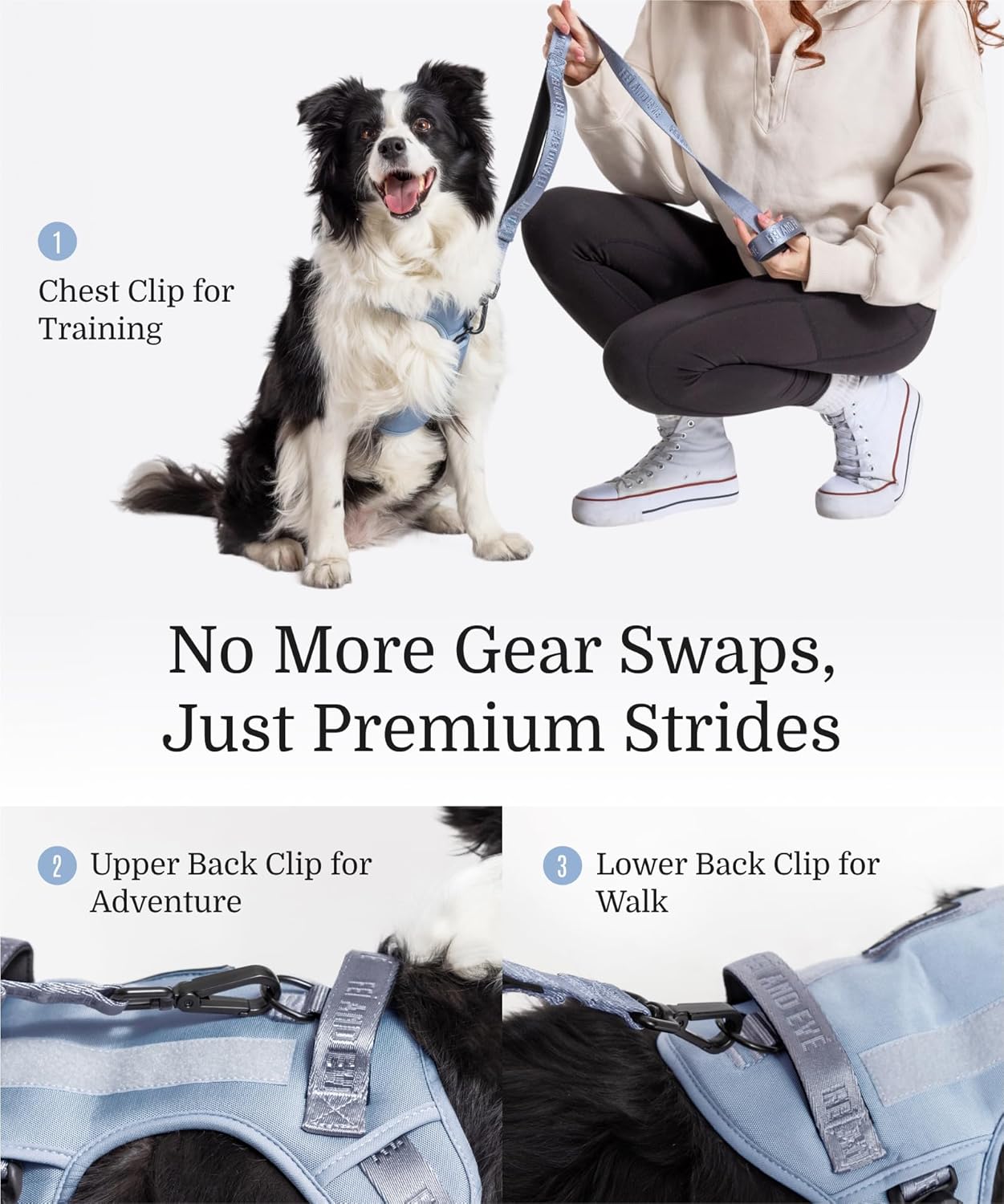 2025 New Edition, Fei & Eve MagEase Dog Harness - 3-Second Magnetic Buckles | 3-Point No-Pull Control | Heavy-Duty 900D Nylon | Dual Safety Handles | Breathable Mesh | Adjustable Fit | Large, Blue