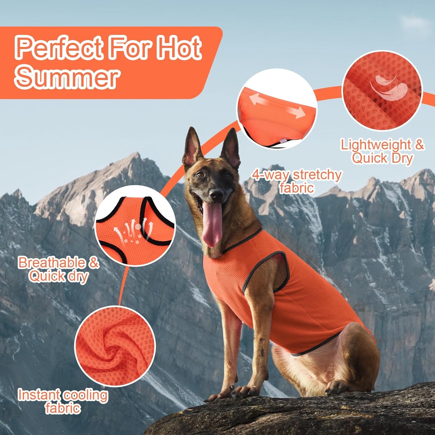 2 Pack Cooling Shirts for Dogs, Lightweight Mesh Breathable Dog Clothes for Medium Dogs Boy Girl,Sports Fan Pet T-Shirts for Dog&Cat Puppy Vest Pet Apparel - XL