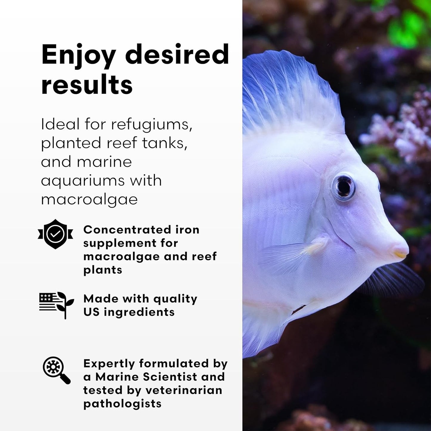 Brightwell Aquatics Ferrion - Concentrated Iron Supplement for Marine Fish and Reef Aquariums 250-ml
