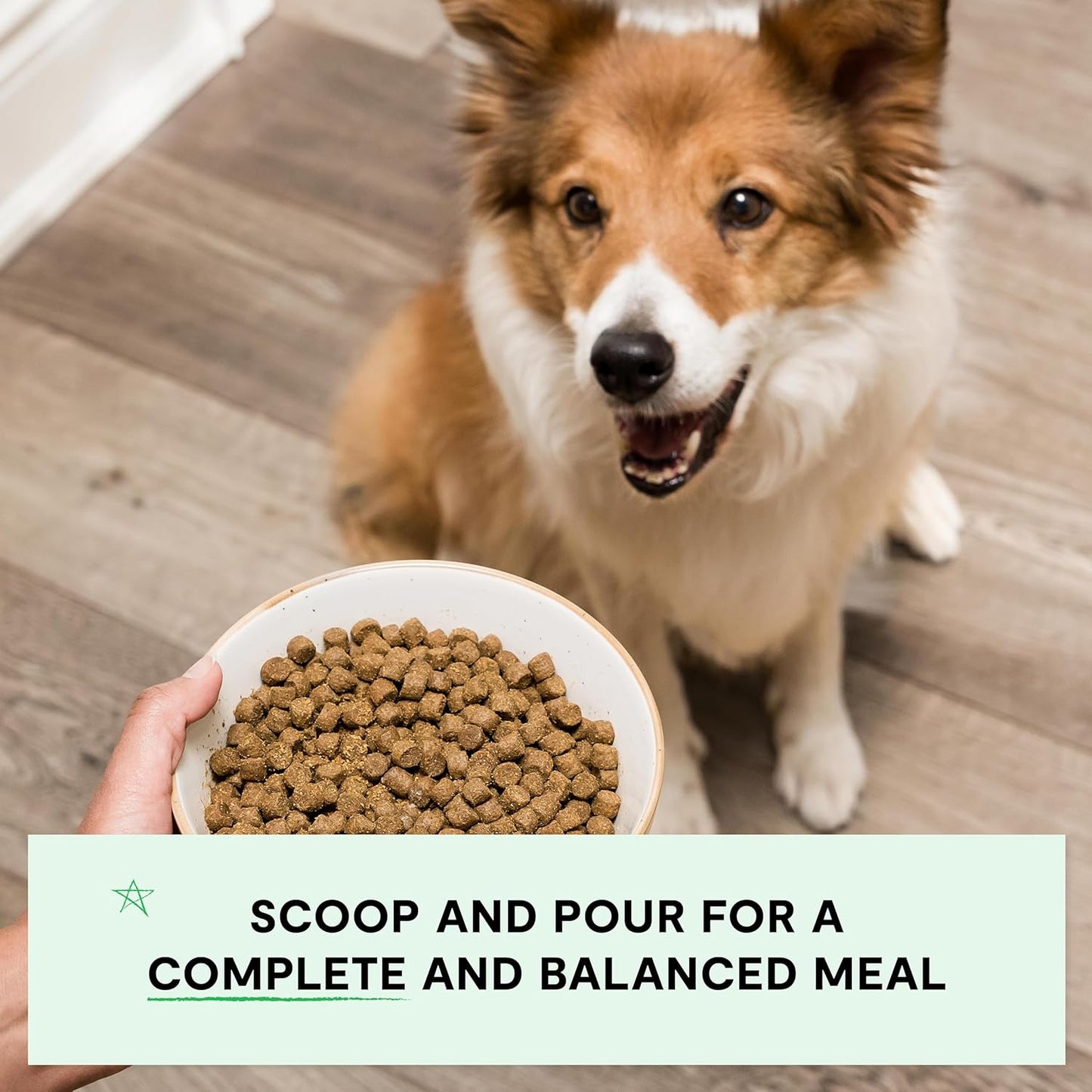 Open Farm, Grain-Free Dry Dog Food, Complete & Balanced Kibble, Sustainably & Ethically Sourced Ingredients, Non-GMO Veggies & Superfoods, Catch-of-The-Season Whitefish Recipe, 11lb Bag