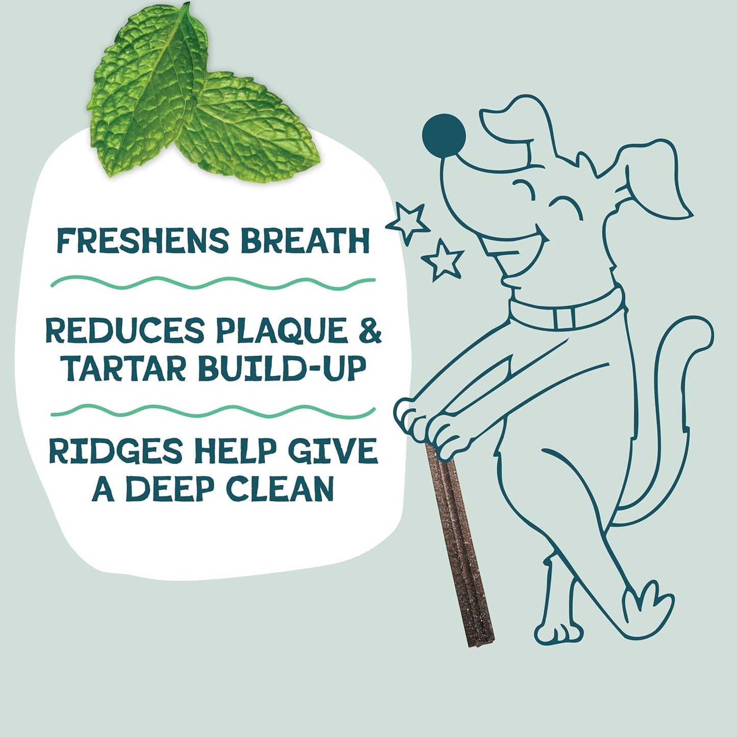 Shameless Pets Toothberry Dental Chews for Dogs – Natural Dog Dental Sticks for Fresh Breath, Teeth Cleaning & Removes Tartar, Grain-Free Dog Treats, No Corn or Soy, 32 Sticks