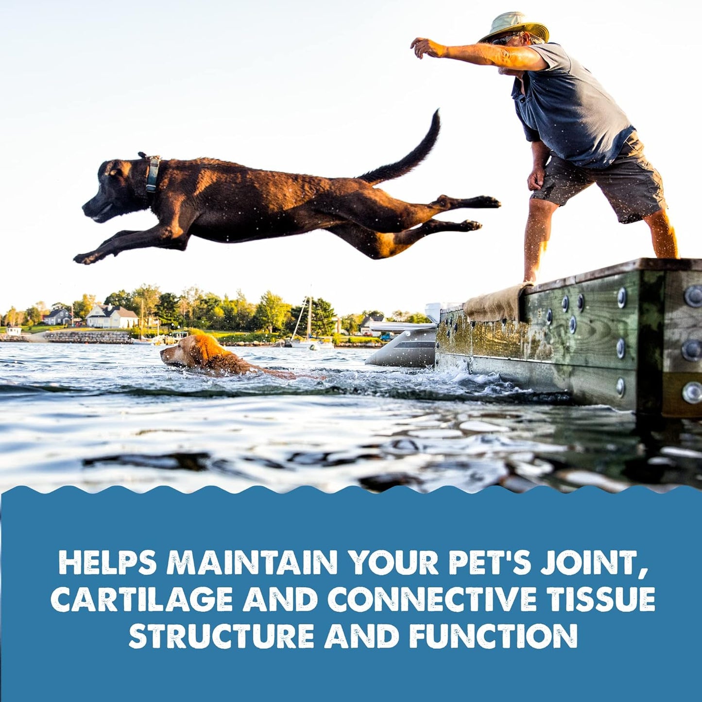 Grizzly Joint Aid for Dogs Liquid Hip and Joint Support (Extra Strength), 32 fl oz