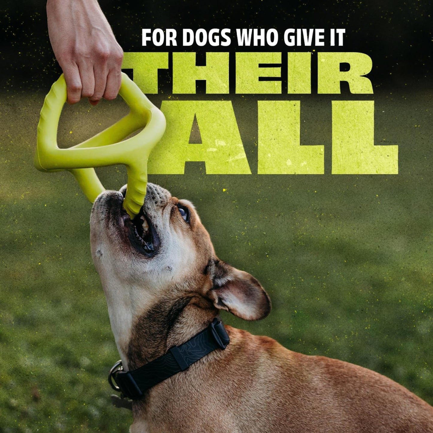 Benebone Natural Rubber Tug Interactive Dog Toy, Natural Rubber