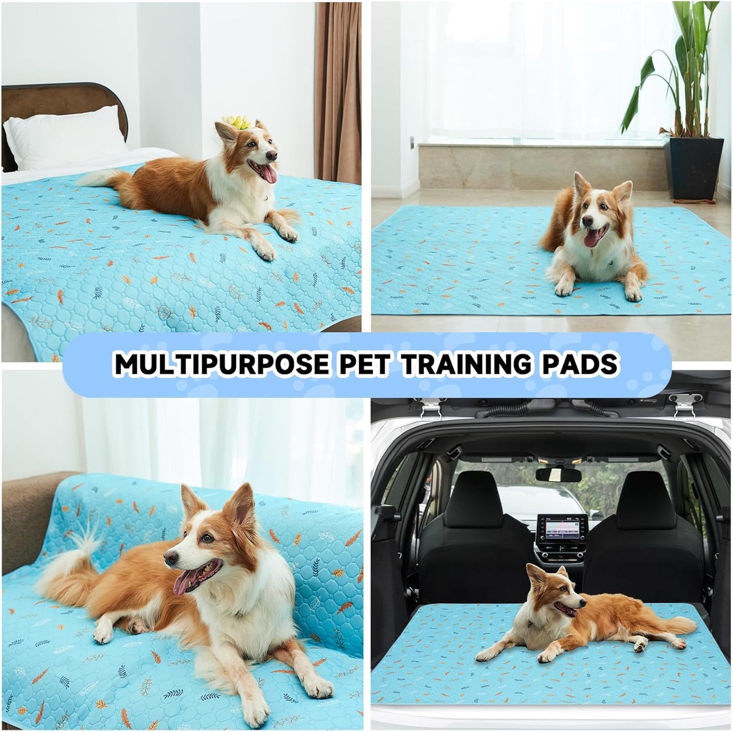 Sunheir 2 Pack Washable Guinea Pig Pee Pads, 24" x 48" Waterproof Reusable Guinea Pig Cage Liners, Absorbent Bedding Training Mat for Small Animal Guinea Pigs Rabbit Bunny Hamster - Sky Blue
