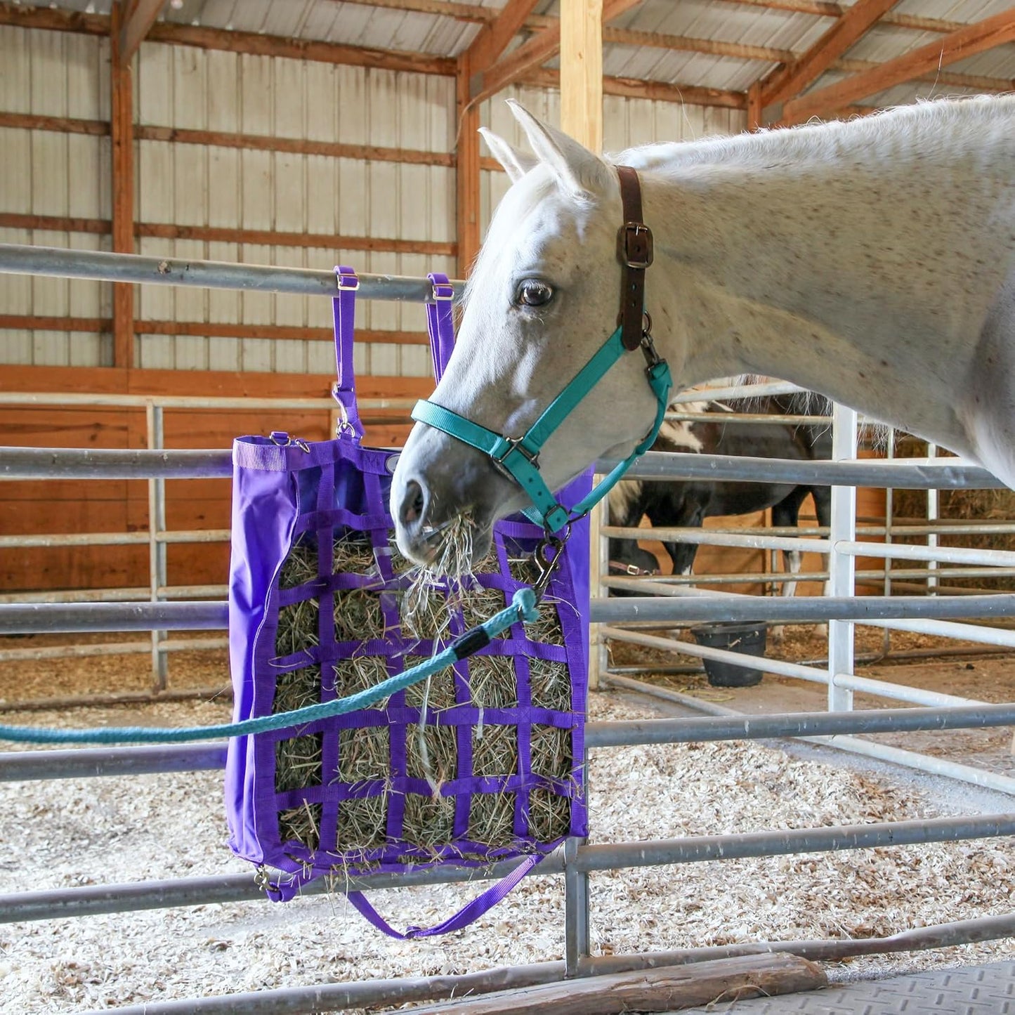 Majestic Ally Leather Halter with Matching Lead Rope for Horses – Leather Breakaway Crown - Adjustable Chin Strap – Rolled Throat Latch – Padded Noseband – Full (Royal Blue, Full)