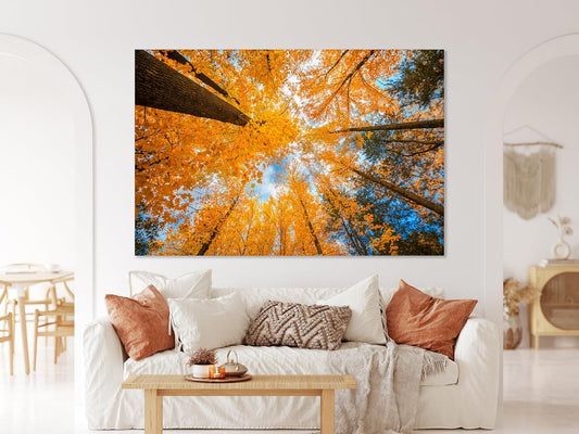 Nature Wall Art Prints - Ocean Forest Mountain Lake Canvas Landscapes - Small to Extra Large Living Room Bedroom Kitchen Bathroom Décor (Blue Sky Through Yellow Autumn Trees, 20L" x 30W")