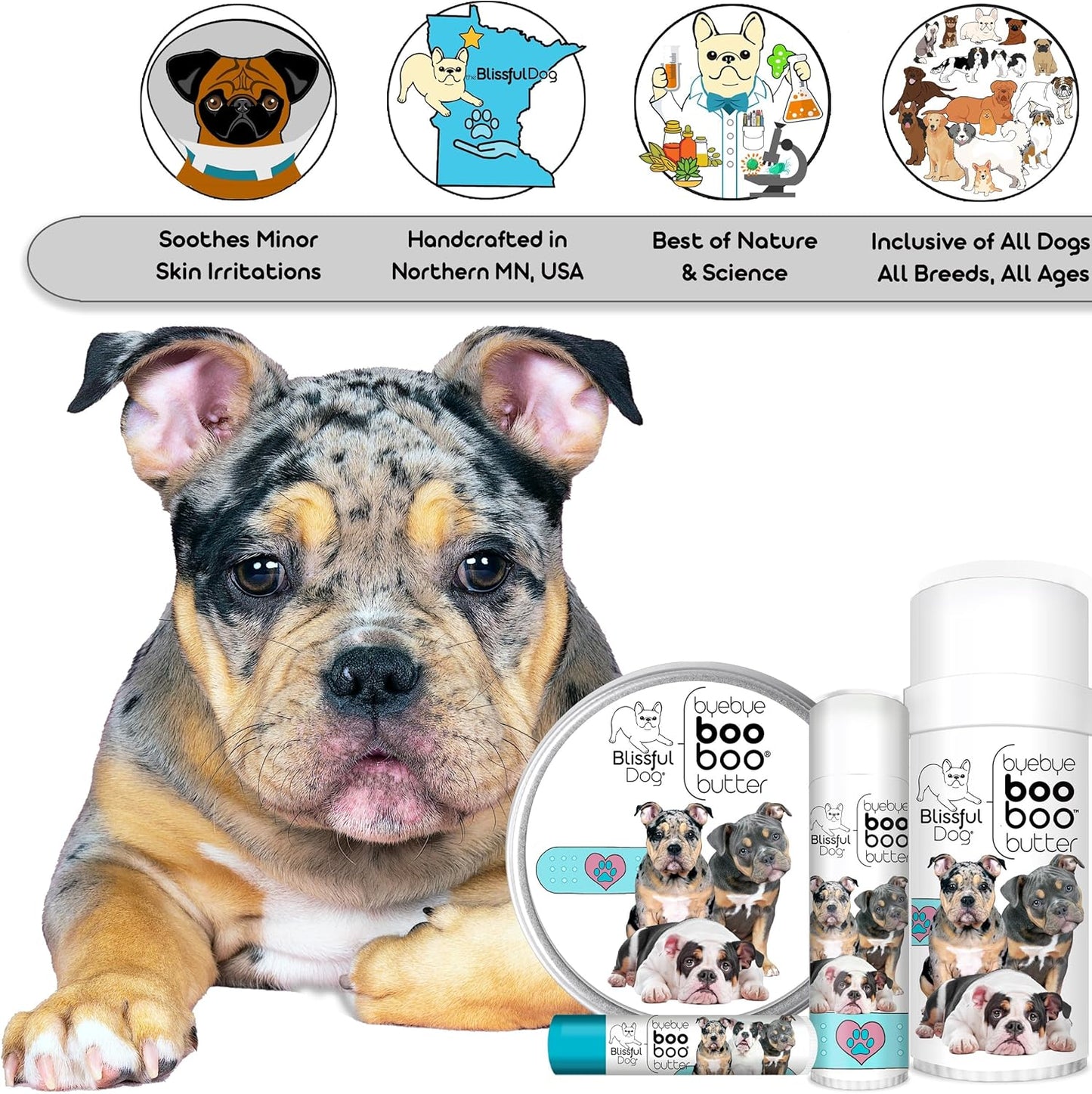 The Blissful Dog .50 oz Tube Olde ENGLISHE Bulldogge Booboo Butter