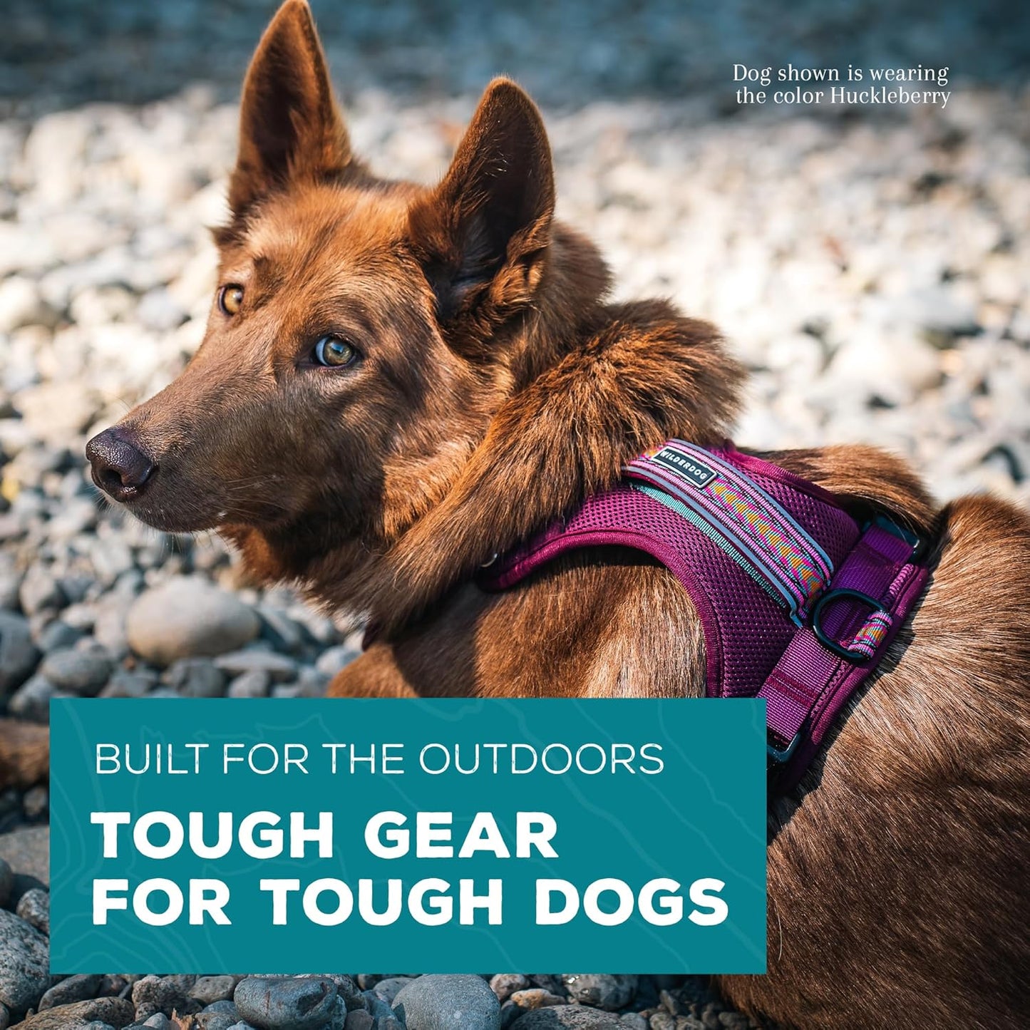 Wilderdog Lightweight Dog Harness with Reflective Straps - Large - Huckleberry