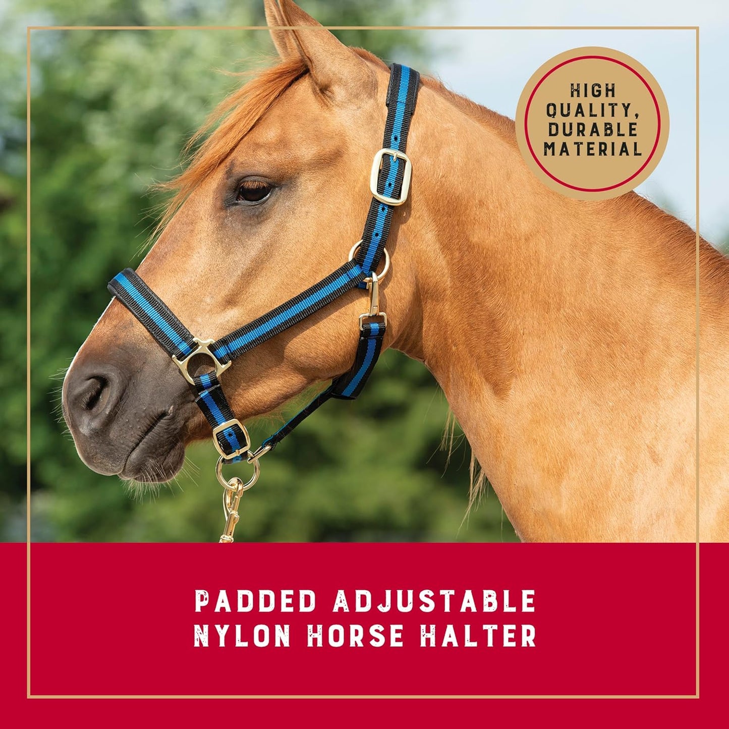 Weaver Leather Nylon Horse Halter, Padded and Adjustable, Chin and Throat Snap Hook Halters for Horses, Brass Plated Halters for Training