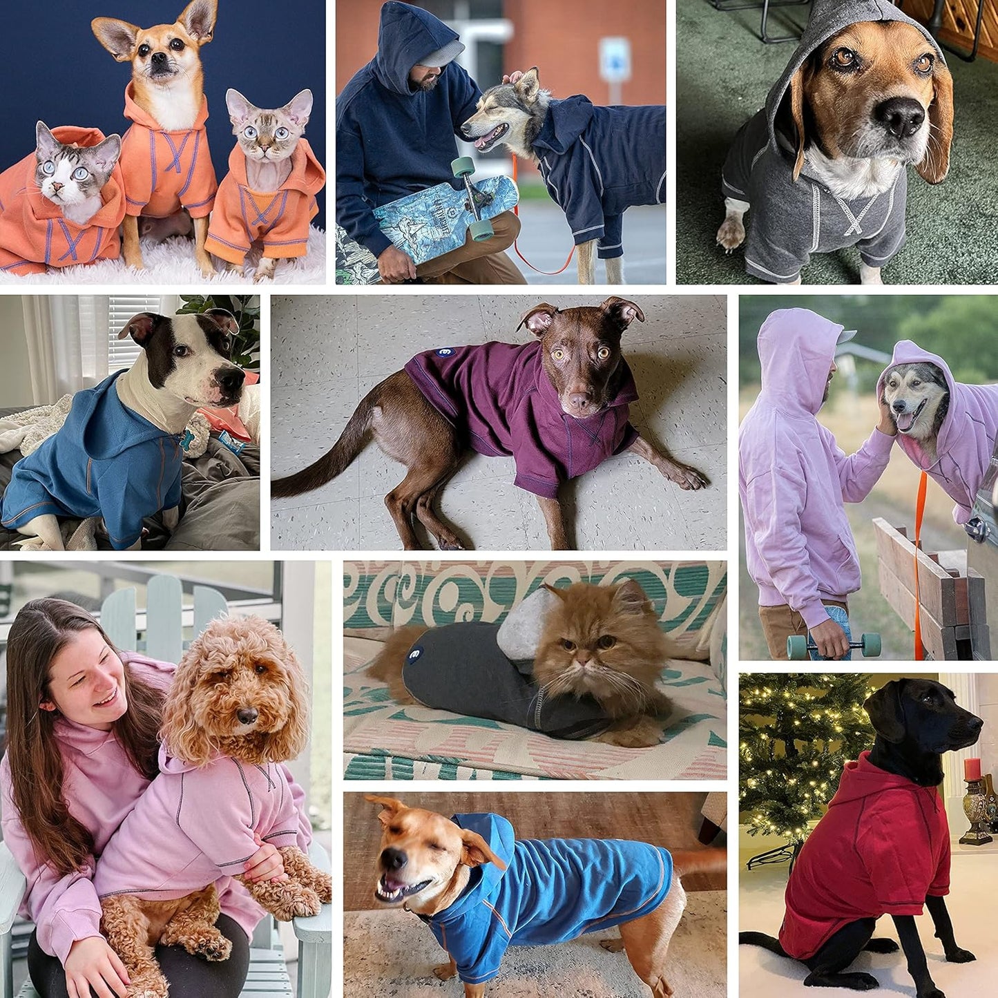 Blueberry Pet Essentials Soft & Comfy Better Basic Cotton Blend Dog Hoodie Sweatshirt in Charcoal Grey, Back Length 16", Pack of 1 Jacket for Dogs