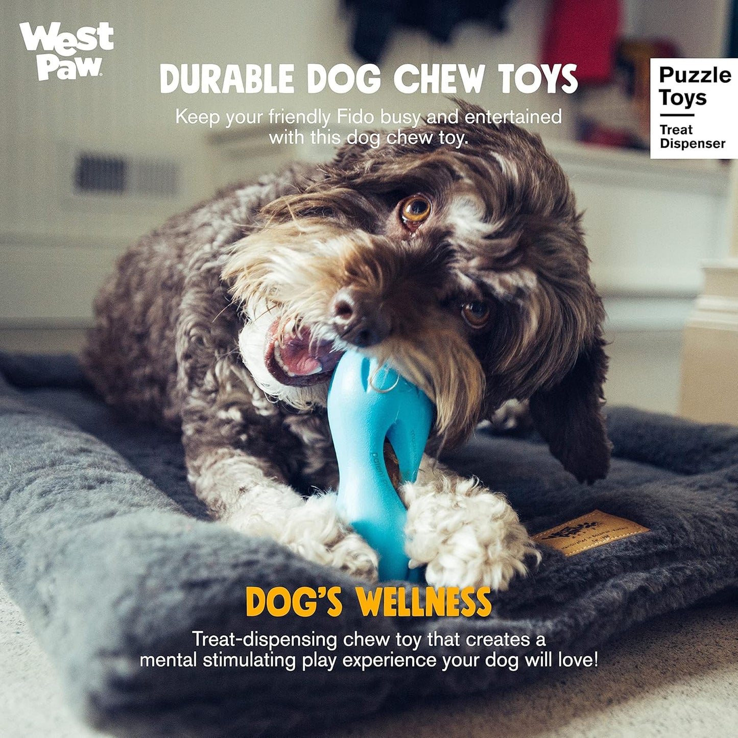 West Paw Zogoflex Qwizl Interactive Treat Dispensing Dog Puzzle Treat Toy for Dogs, 100% Guaranteed Tough, It Floats!, Made in USA, Large, Aqua Blue