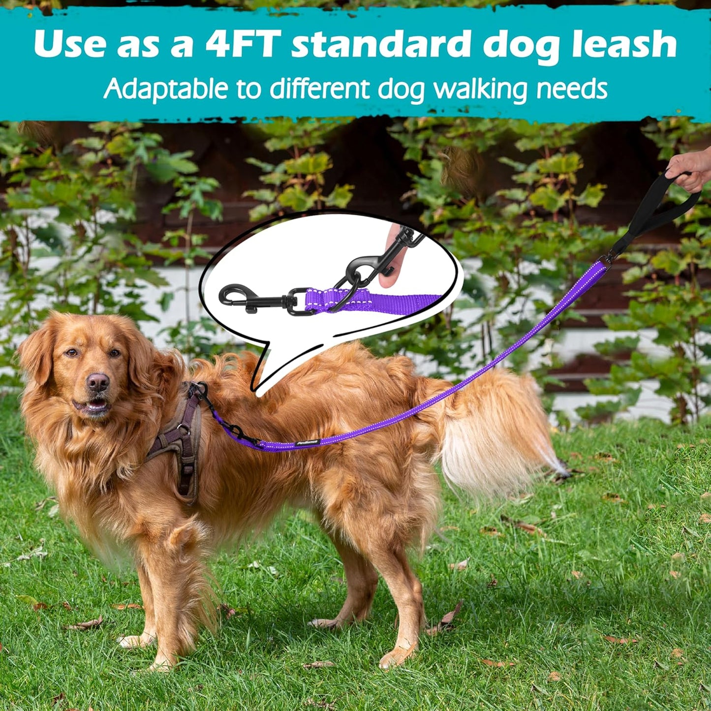 PetBonus Two Point Control Dog Leash, Works with No Pull Harnesses, No Tangle Dog Training Leashes, No Pull Padded and Reflective Walking Lead, Converts to Single Leash for Medium Large Dogs (Purple)