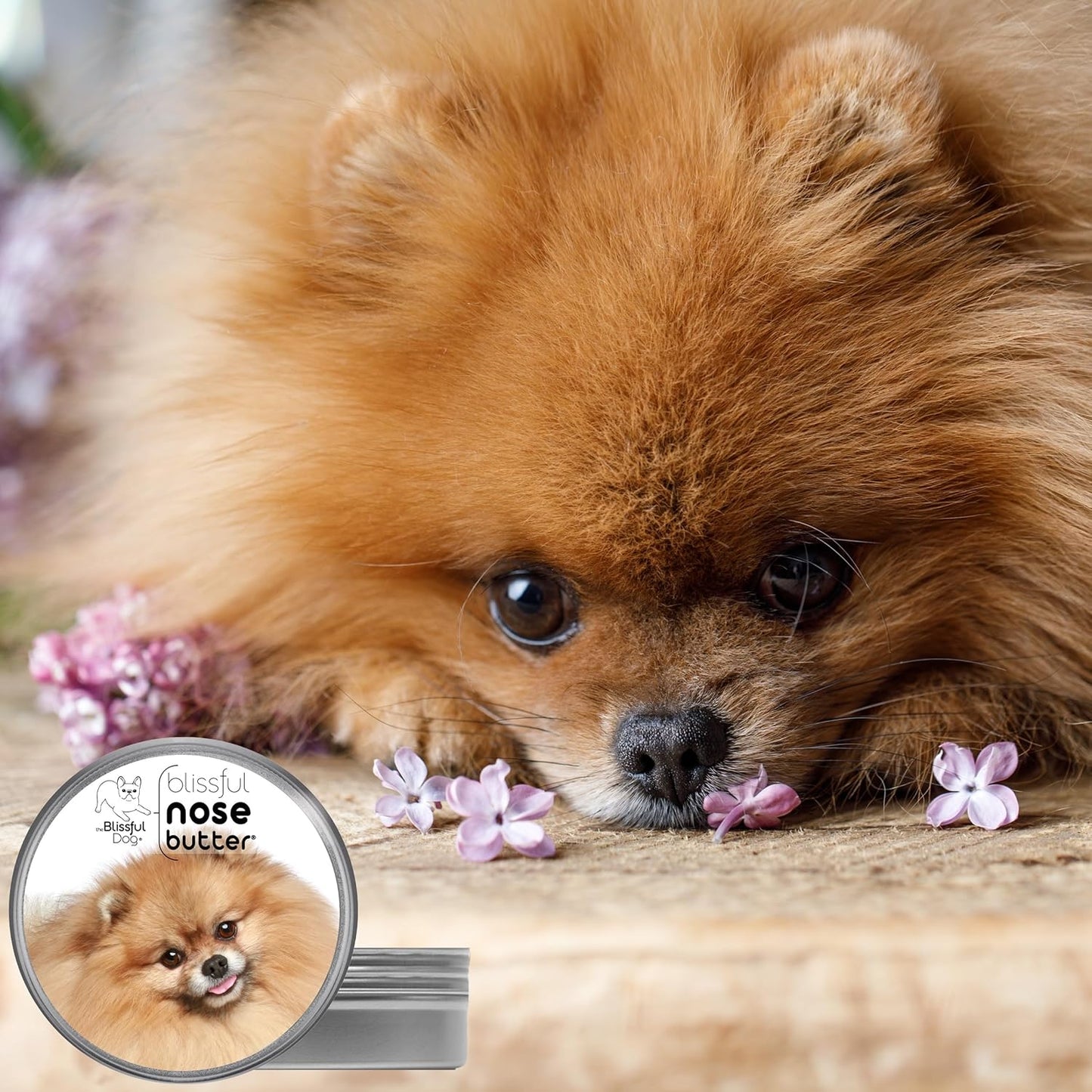 The Blissful Dog Pomeranian Unscented Nose Butter - Dog Nose Butter, 16 Ounce