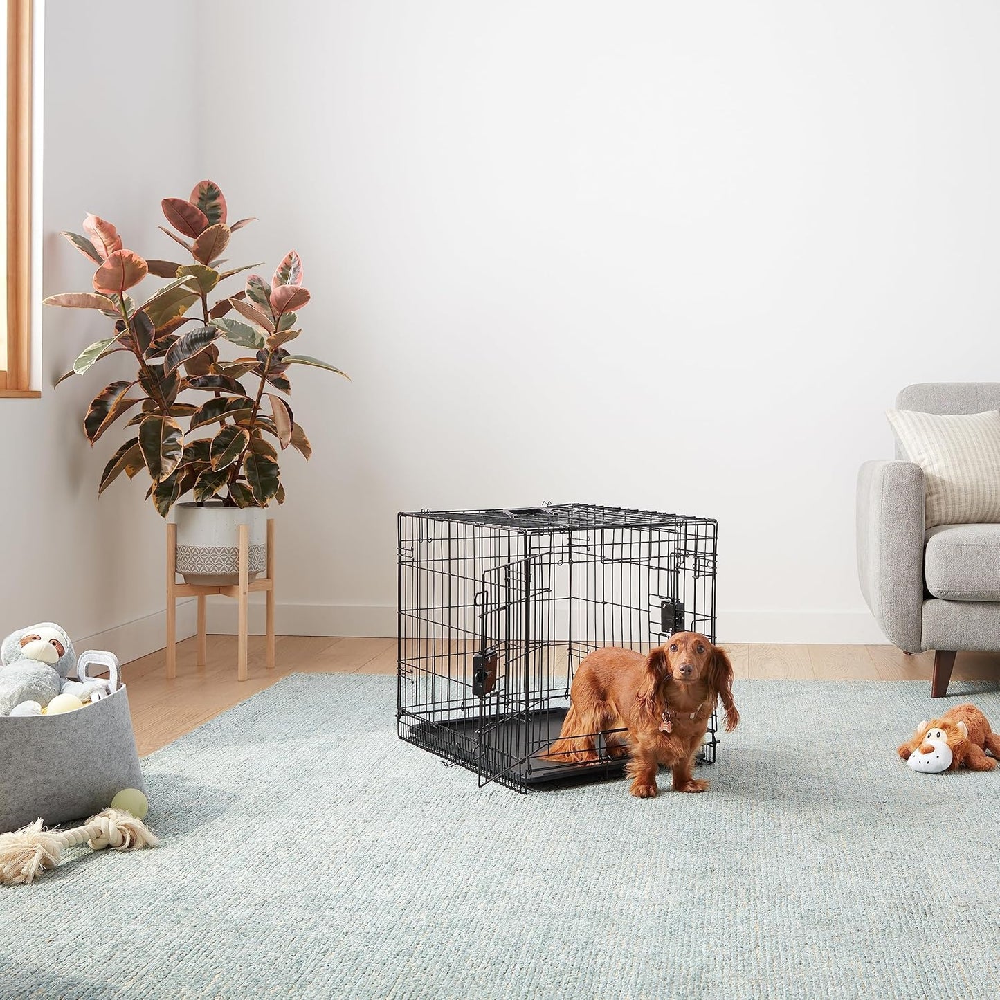 Amazon Basics Durable,Foldable Metal Wire Dog Crate with Tray, Double Door, Divider, 24 x 18 x 20 in, Black